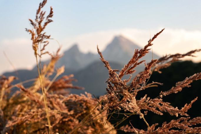 Lockstein Blick zum Watzmann